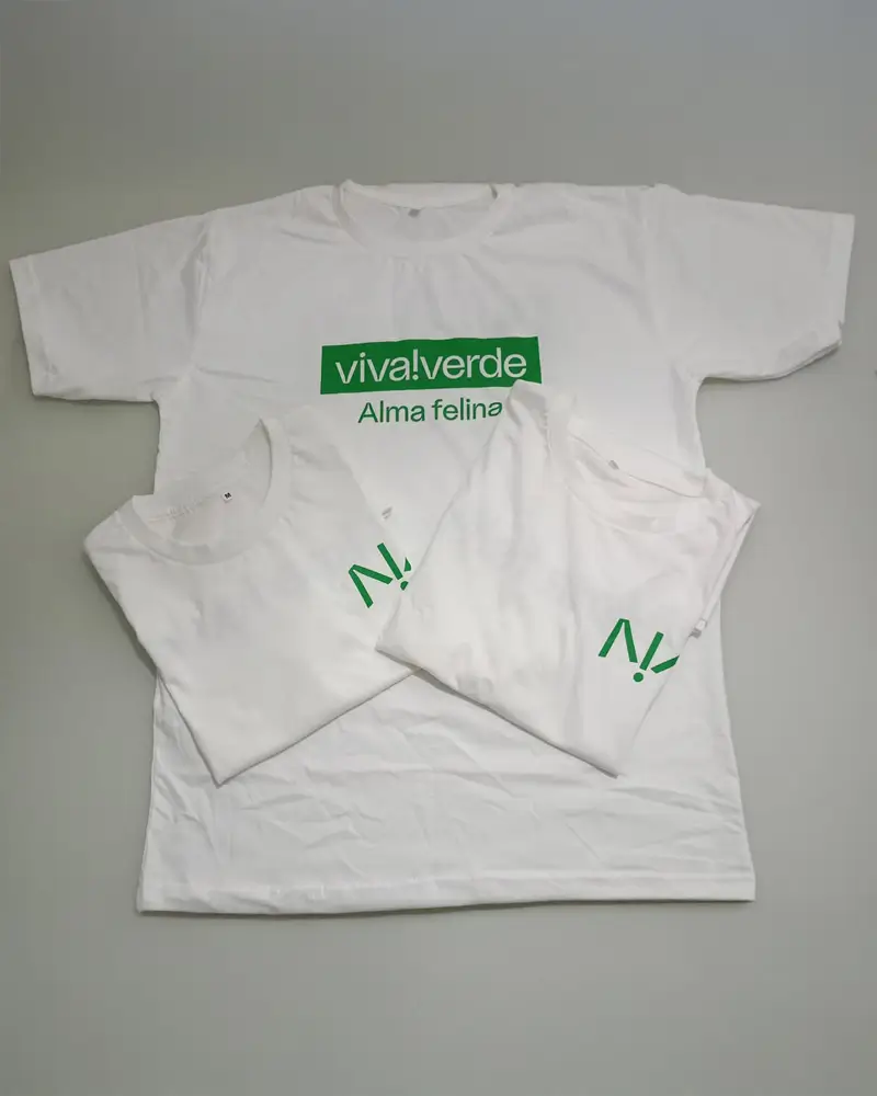 camisa